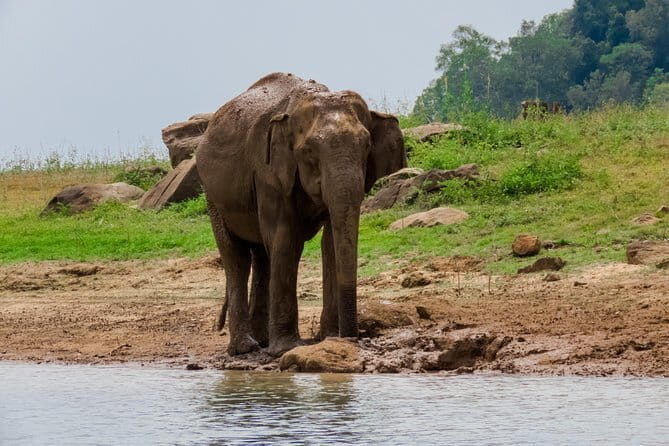 Minneriya National Park Safari from Polonnaruwa - What Sets This Tour Apart
