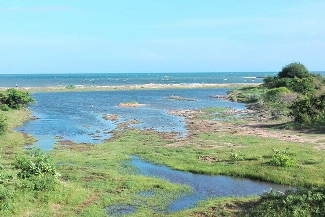 Minneriya National Park Safari | Jeep with Tickets - What’s Included and What’s Not