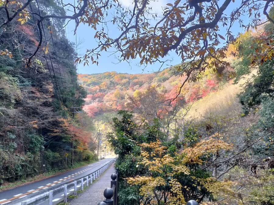 Minoh Falls & Katsuoji Temple Half Day E-Bike Tour - The Practicalities That Matter