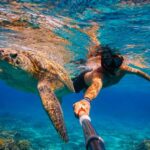 Mirissa: Guided Turtle Snorkeling Experience with Coral Reef - Who Will Love This Tour?