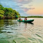Mirissa: Kayak Safari Adventure Through Mangrove - What You Can Expect on the Tour