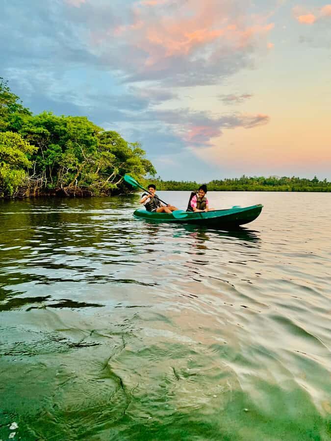 Mirissa: Kayak Safari Adventure Through Mangrove - What You Can Expect on the Tour