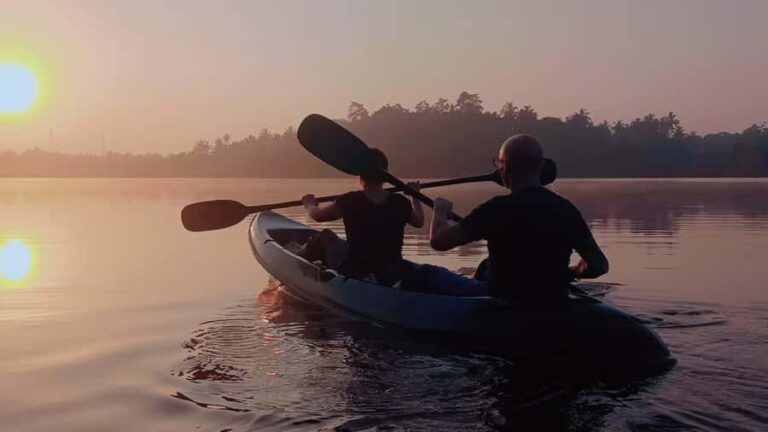 Mirissa: Kayak Safari Adventure Through Mangrove - Discovering the Garanduwa Mangrove Forest
