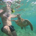Mirissa Snorkeling Tour with Turtle Adventure and Free Video - The Practicalities: What You Should Know