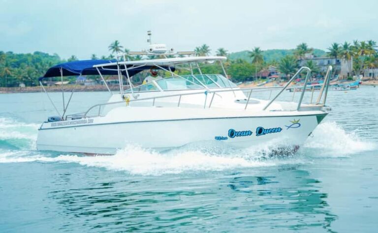 Mirissa Whale Watching Super Luxury Speedboat Private Trip - Final Thoughts: Who Is This Tour Perfect For?