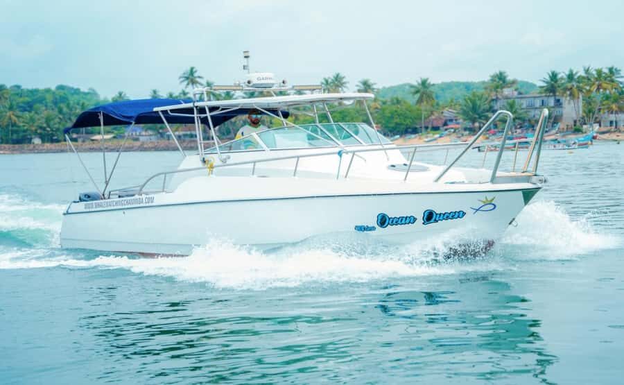 Mirissa Whale Watching Super Luxury Speedboat Private Trip - Final Thoughts: Who Is This Tour Perfect For?