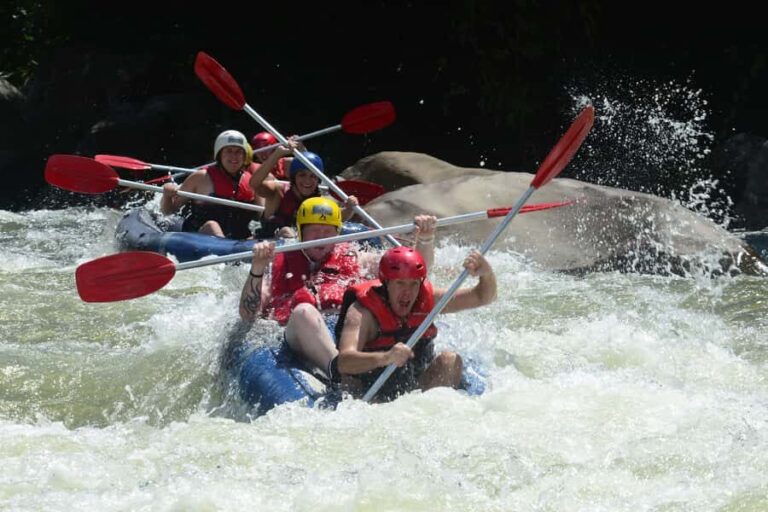 Mission Beach: Tully River Half Day White Water Rafting - Who Will Love This Tour?