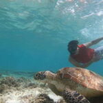 Moalboal: Island Hopping Adventure & Kawasan Falls Excursion - Who Should Consider This Tour?