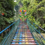 Moalboal Sardine Run, Sea Turtle and Mantayupan Falls - What the Reviews Reveal