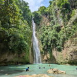 Moalboal Sardine Run, Sea Turtle & Mantayupan Falls - Authentic Experiences Highlighted by Tour Reviews