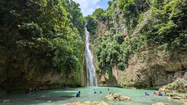 Moalboal Sardine Run, Sea Turtle & Mantayupan Falls - Authentic Experiences Highlighted by Tour Reviews