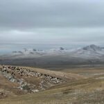 Mongolia: Overnight Nomadic Herders Experience - Who Will Love This Tour?