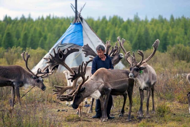 Mongolia: Tsaatan Tribe and Lake Khövsgöl 8-Day Tour - What Makes This Tour Stand Out?