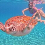 Monkey Bar and snorkling adventure at blue lagoon. - Authenticity and Practical Tips