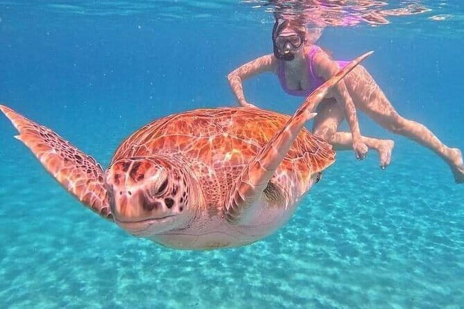 Monkey Bar and snorkling adventure at blue lagoon. - Authenticity and Practical Tips