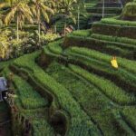 Monkey Forest, Holy Water Temple & Hot Springs Tours - Final Thoughts