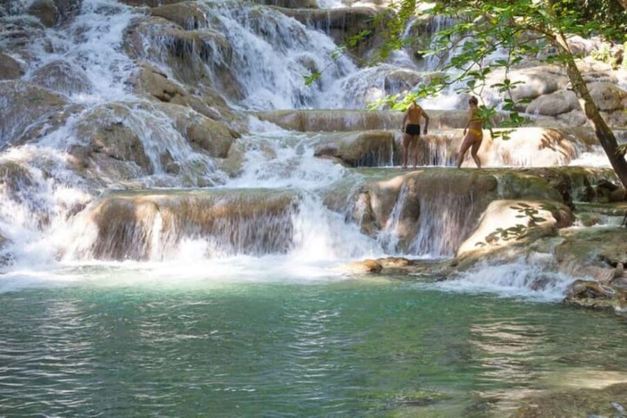 Montego Bay: Chuck Norris Falls & Dunn's River Falls Tour - Transportation, Duration, and Group Size  