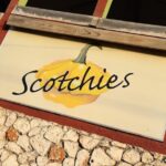 Montego Bay & Falmouth Hotels, Souvenir Shopping and sightseeing - Why This Tour Works Well