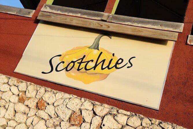 Montego Bay & Falmouth Hotels, Souvenir Shopping and sightseeing - Why This Tour Works Well