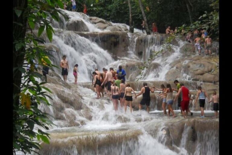 Montego Bay: Guided Tour of Dunn's River Falls and Park - What to Expect at Dunn’s River Falls