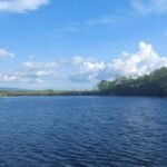 Montego Bay: Half-Day Black River Safari - The Value of the Black River Safari