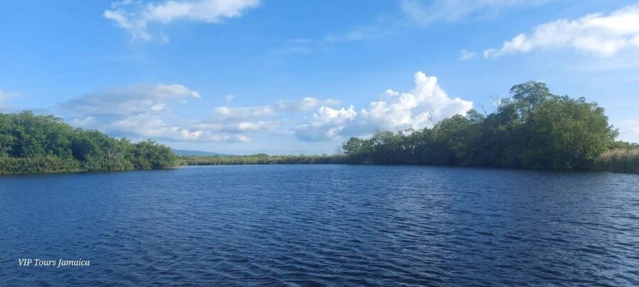Montego Bay: Half-Day Black River Safari - The Value of the Black River Safari