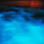 Montego Bay: Luminous Lagoon Night Tour by Boat - Who Will Love This Tour?