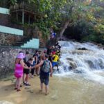 Montego Bay: Private Bob Marley and Dunn's River Falls Tour - What Makes This Tour Stand Out