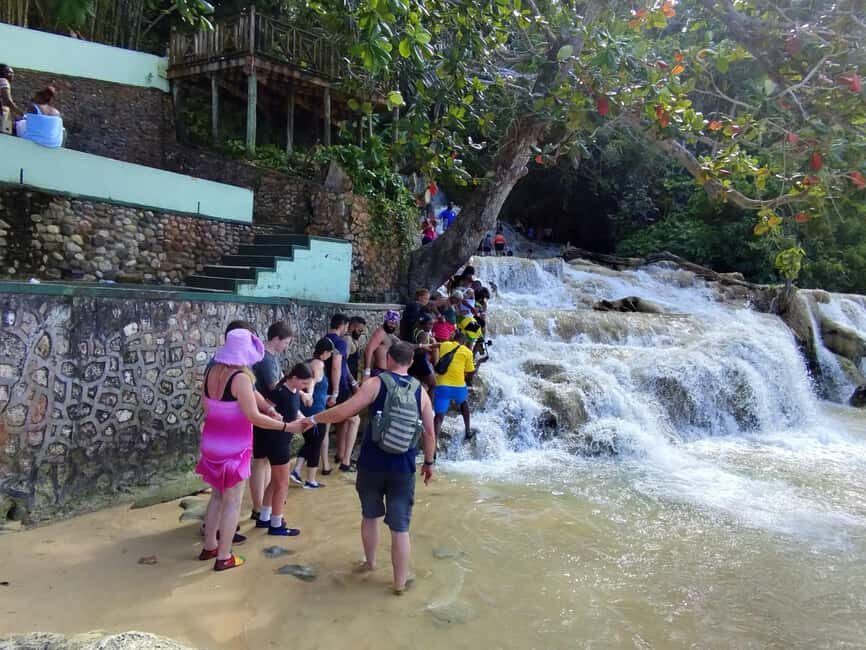 Montego Bay: Private Bob Marley and Dunn's River Falls Tour - What Makes This Tour Stand Out