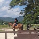 Montego Bay Trip with ATV Ride Plus Horseback and Bamboo Rafting - Who Is This Tour Best For?