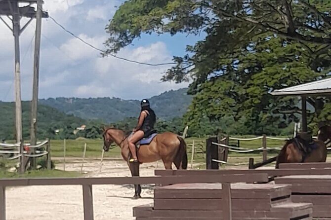 Montego Bay Trip with ATV Ride Plus Horseback and Bamboo Rafting - Who Is This Tour Best For?