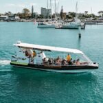 Mooloolaba Whale Watching  Small Group Tour - Why This Tour Stands Out