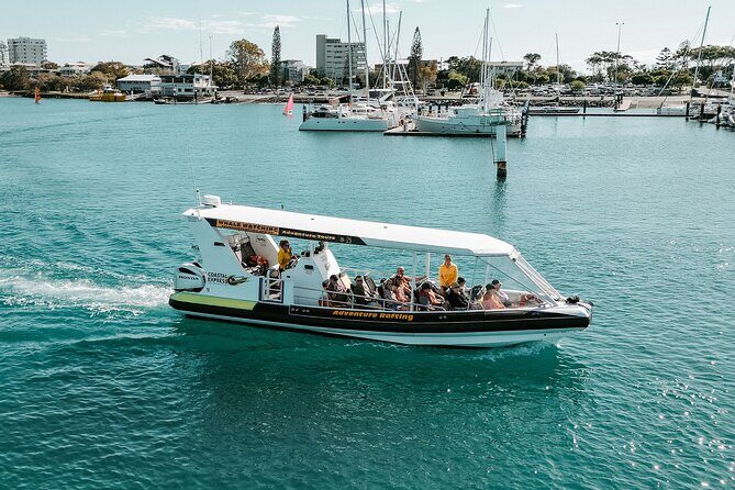 Mooloolaba Whale Watching Small Group Tour - Why This Tour Stands Out