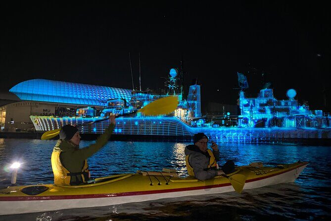 Moonlight Sea Kayaking Experience in Sydney's VIVID Festival - Understanding the Value of This Experience
