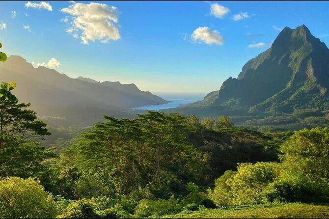 Moorea Cruise Ships: 4x4, Belvedere,Magic Mountain pineaple - Exploring the Moorea Tour Itinerary: What to Expect