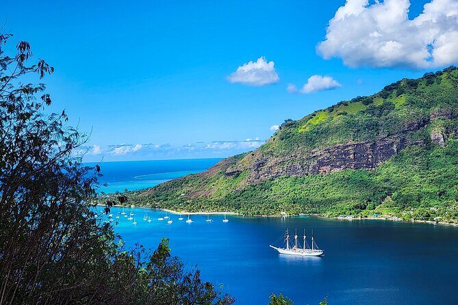 Moorea Full-Day Hiking Experience  Private Shore Tour - The Belvedere Lookout: A View to Remember