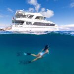 Moreton Island: Dolphin & Tangalooma Wrecks Snorkel Cruise - The Experience: What to Expect on the Day