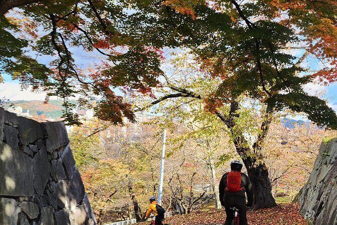 Morioka City Cycle with local guide: Temples, Treats & Townscapes - Detailed Breakdown of the Itinerary