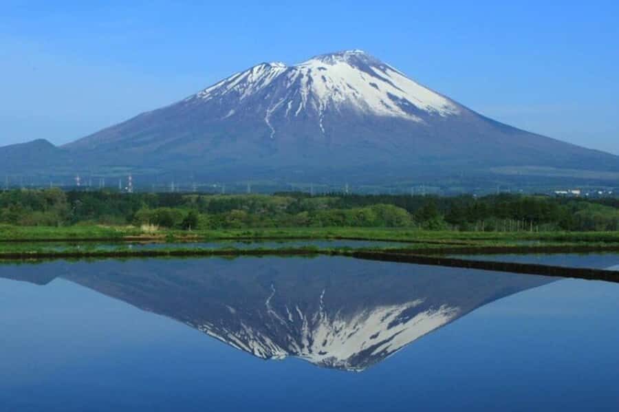 Morioka: Private Guided Tour with Government-Licensed Guide - What the Tour Includes and How It Works