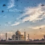 Morning Yoga Session Facing Taj Mahal - What the Itinerary Looks Like