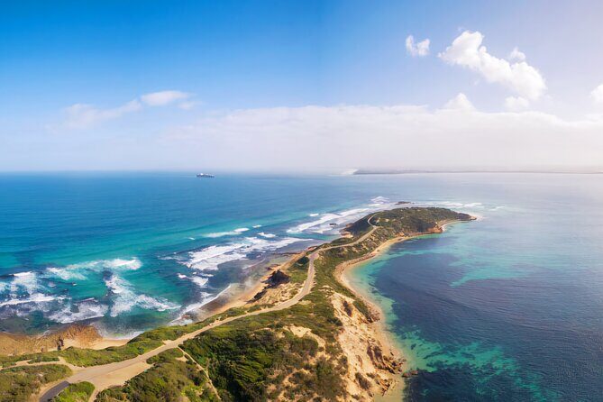Mornington Peninsula Coastal Discovery Tour from Melbourne - Authentic Experiences and Local Insights