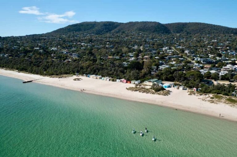 Mornington Peninsula: SUP & Snorkel Safari Tour incl Brunch - Discovering the Mornington Peninsula’s Waterways