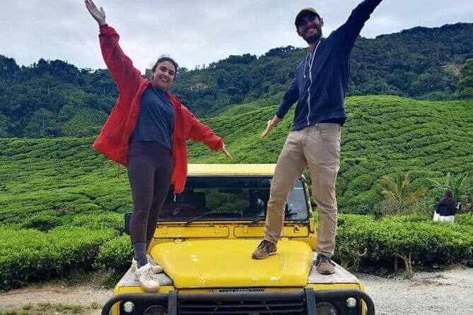 Mossy Forest in Brinchang Tour - Who Should Book This Tour?