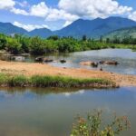 Motorbike Tour From Hue to Danang or Hoi An via Hai Van Pass - Why Travelers Keep Raving