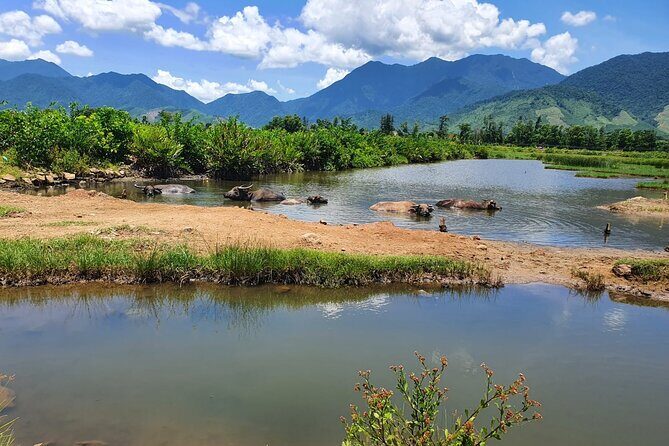Motorbike Tour From Hue to Danang or Hoi An via Hai Van Pass - Why Travelers Keep Raving