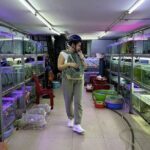 Motorbike Tour Saigon Hidden Gems and Food Tasting - Why This Tour Works Well