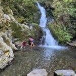 Motu River Jet Boat Tour - The Itinerary: What to Expect