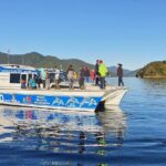 Motuara Wildlife Sanctuary Tour and Dolphin Cruise from Picton - What Makes This Tour Stand Out?