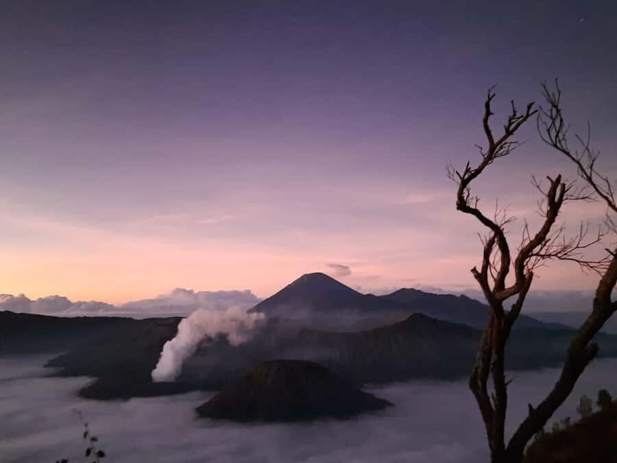 Mount Bromo & Ijen Open Trip 3D2N All Inclusive - Food and Accommodation