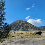Mount Bromo Private Day Tour Experience Crater and Sunset Viewing - What We Love and Value